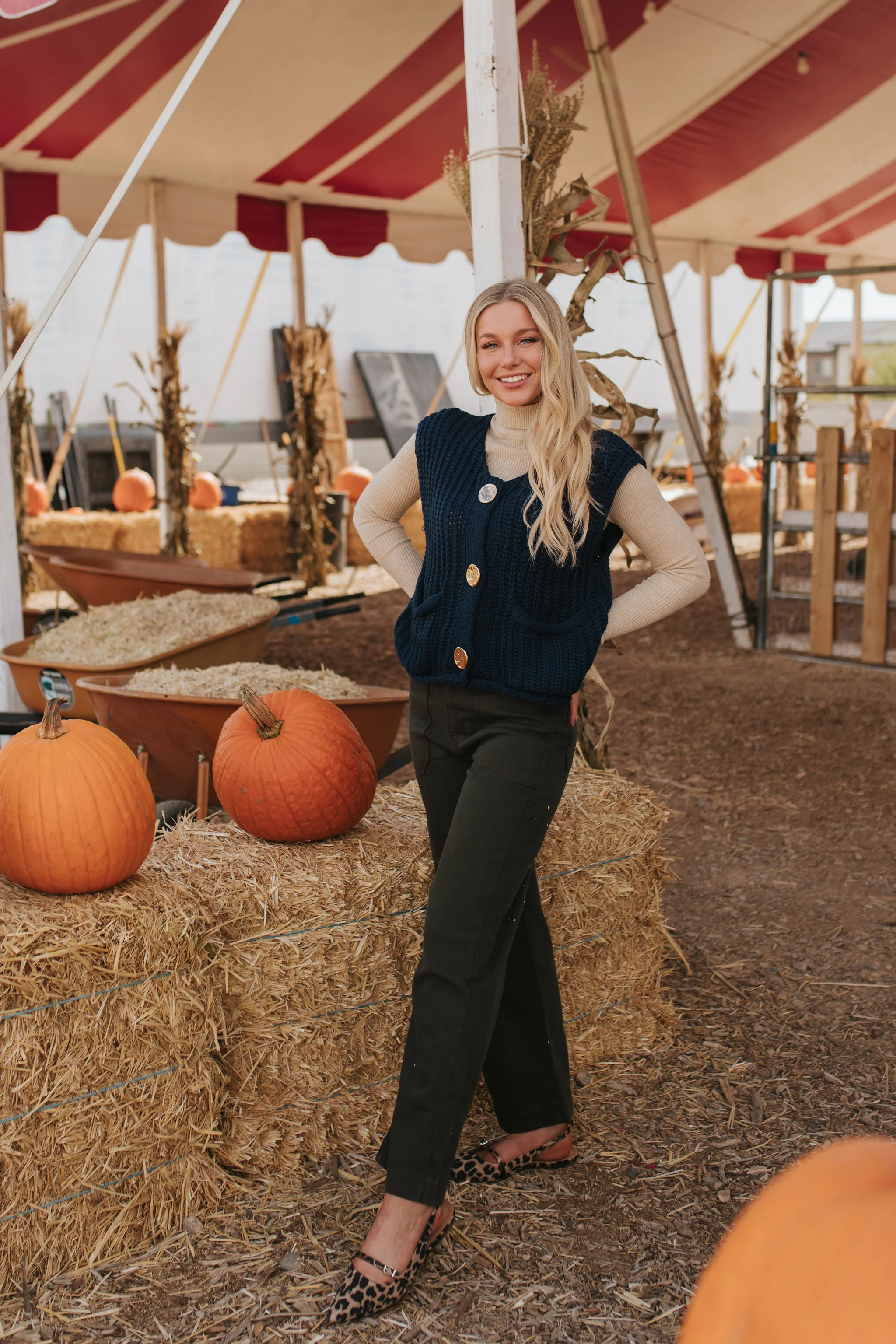 THE SHAE KNIT SWEATER VEST IN NAVY - Payfeveri