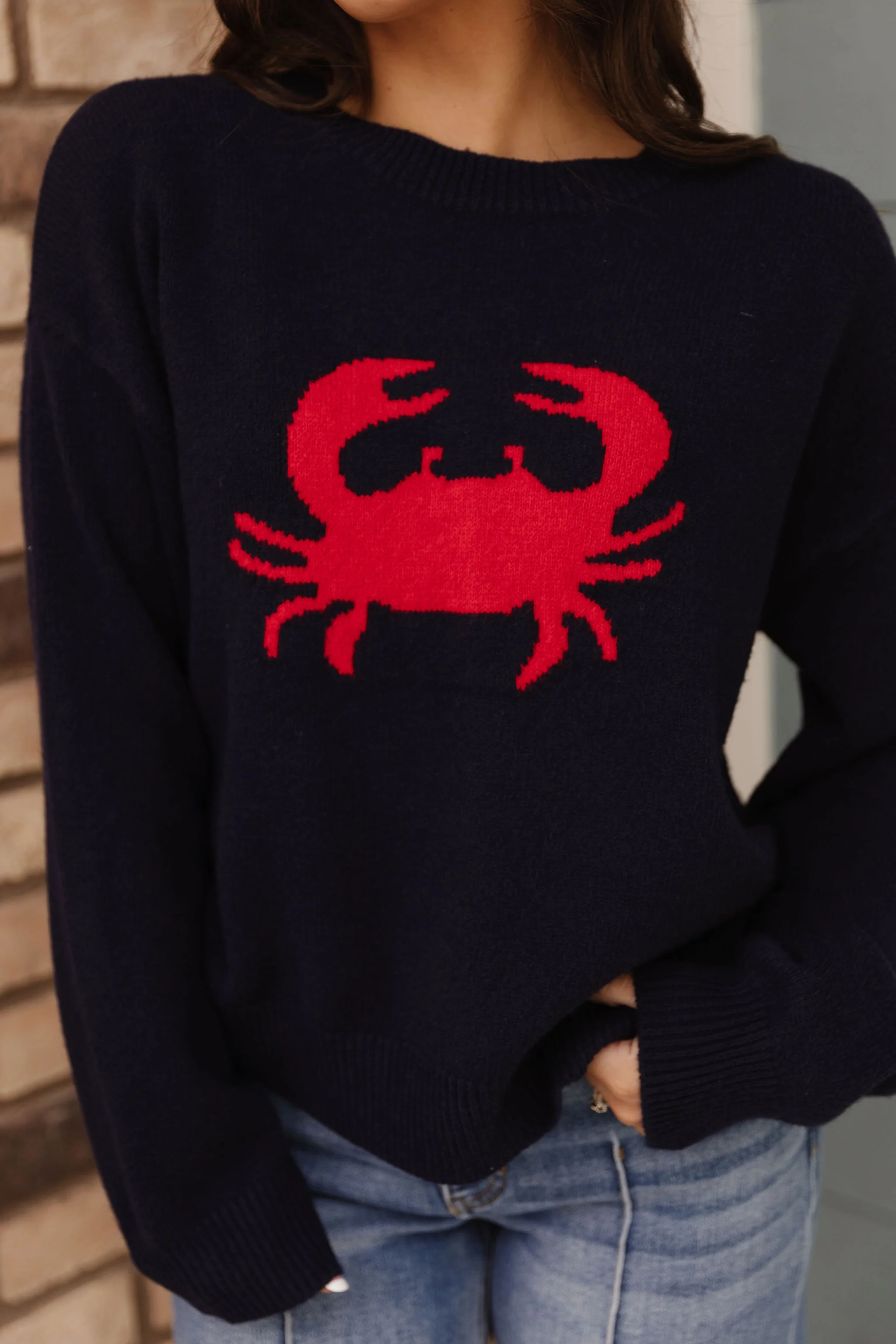 THE SALTY CRAB SWEATER IN NAVY - Payfeveri